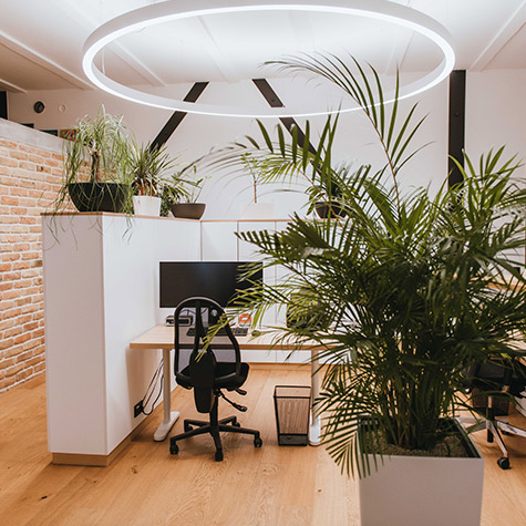Arbeitsplatz Steuerberatung Wien 1230