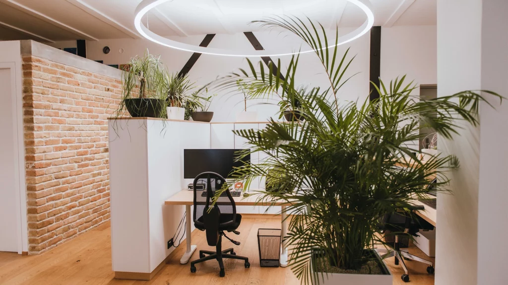 Steuerberater Wien 1230 Unternehmensgründung Buchhaltung Lohnverrechnung Steuerberatung Bilanzierung